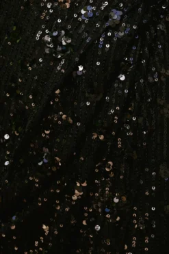 Belinda Dress in Black Sequin