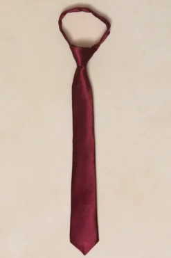 Boys Max Tie in Wine Satin