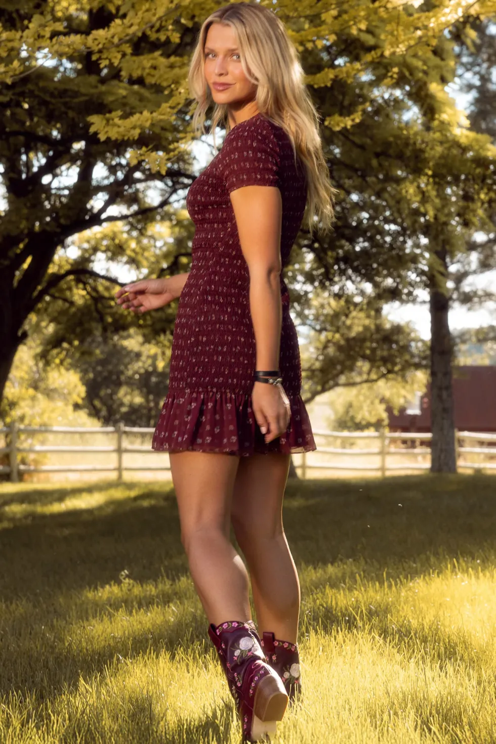 Elaine Dress in Mulberry Vine