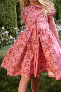 Mini Alayna Play Dress in Desert Heritage Rose
