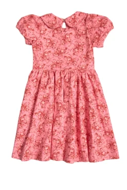 Mini Alayna Play Dress in Desert Heritage Rose