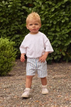 Mini Boys' James Shorts in Heritage Stripe
