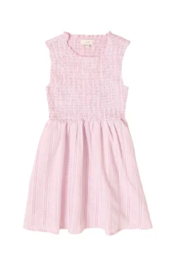 Mini Karla Dress in Pink Striped Gingham