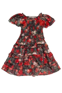 Mini Winnie Dress in Midnight Roses