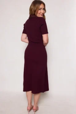 Ora Dress in Burgundy