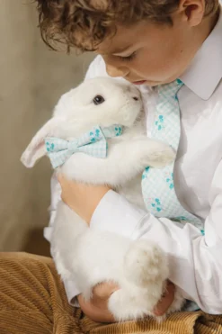 Ties in Bloom Gingham